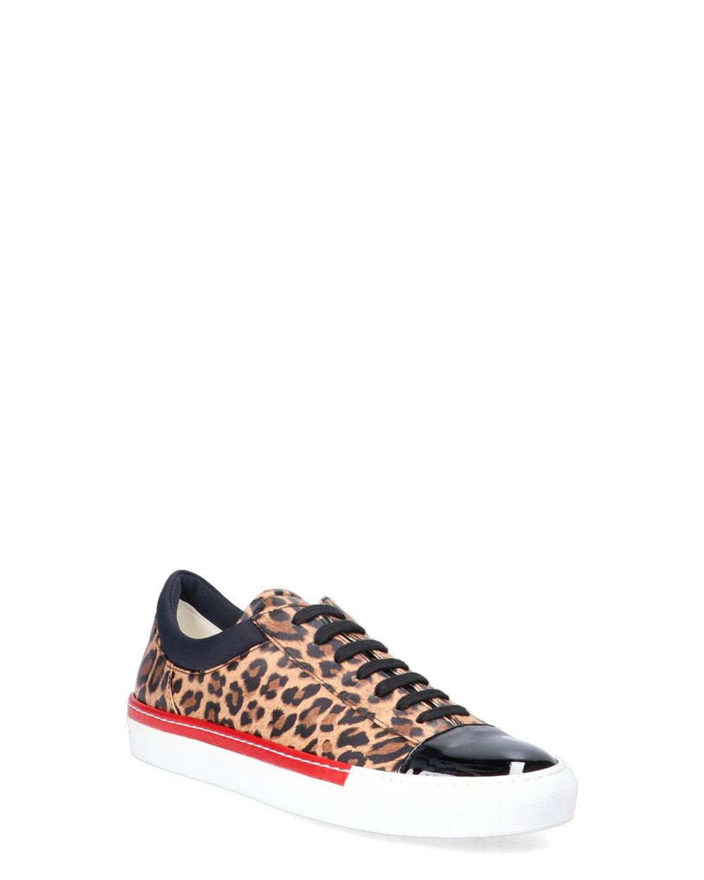 Asha Leopard