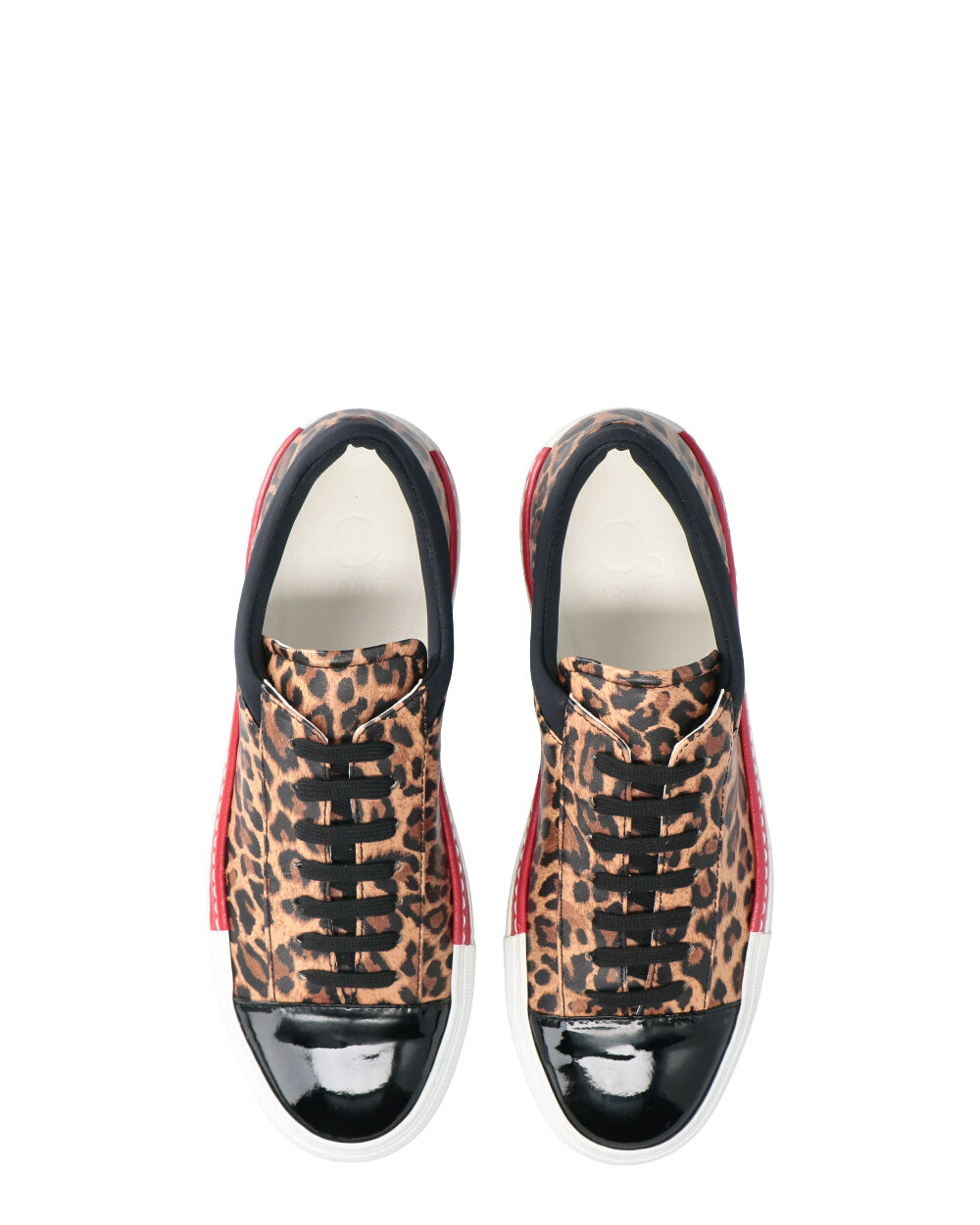 Asha Leopard